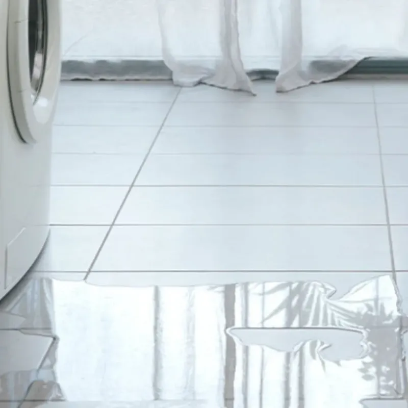Appliance Leak Cleanup in Westlake, TX