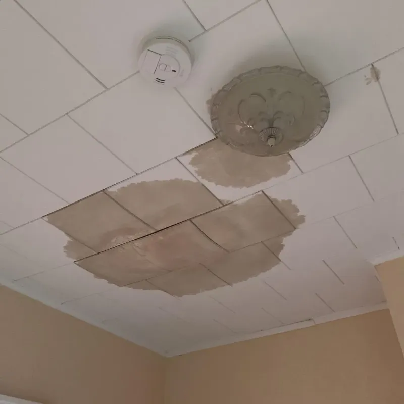 Ceiling Water Damage Repair in Westlake, TX